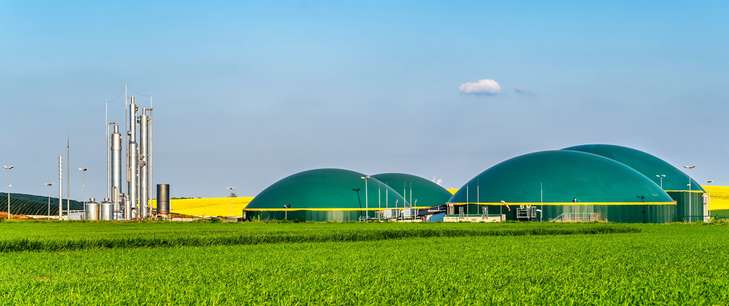 scheda biogas
