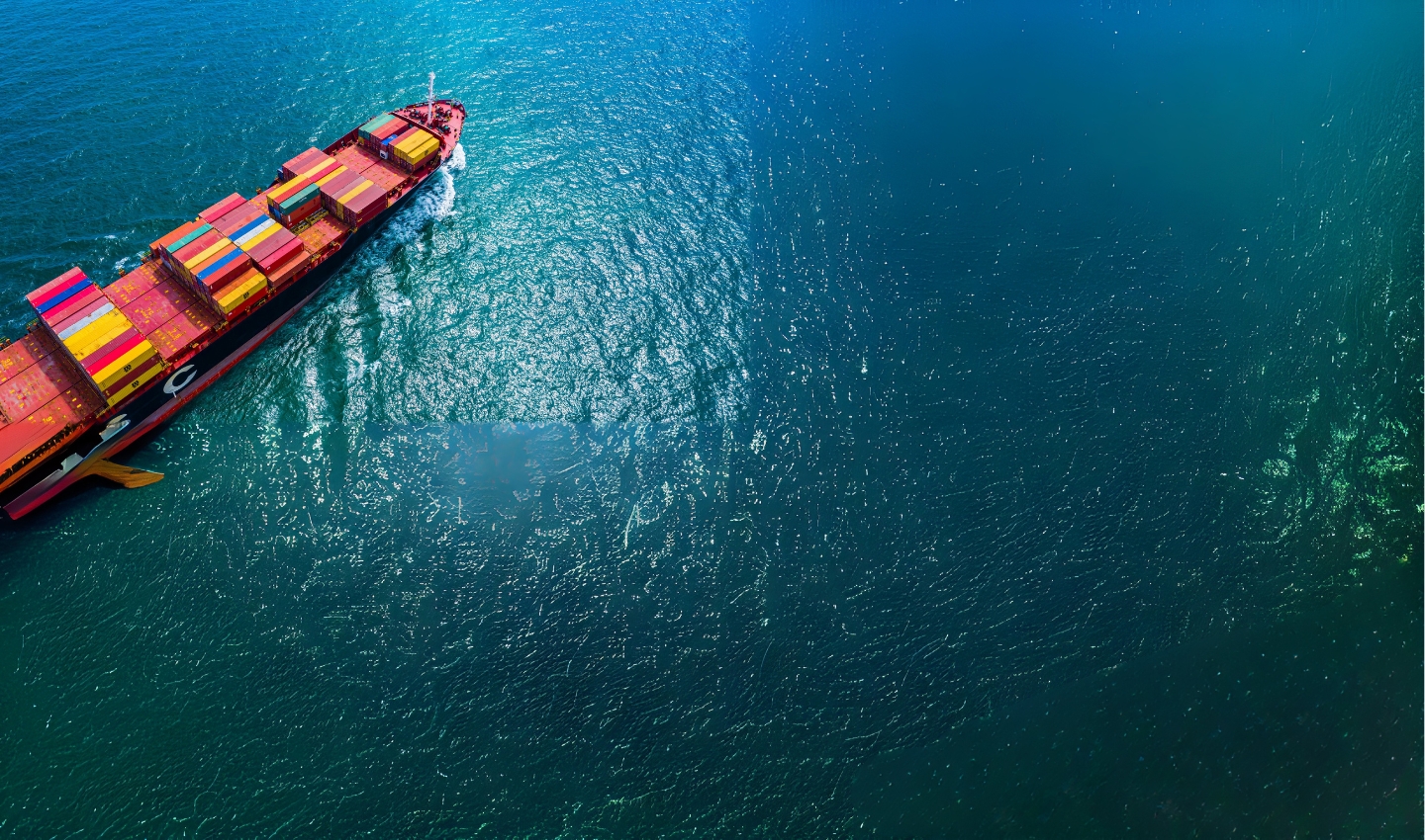 Customs & Excise Duties News settembre 2025