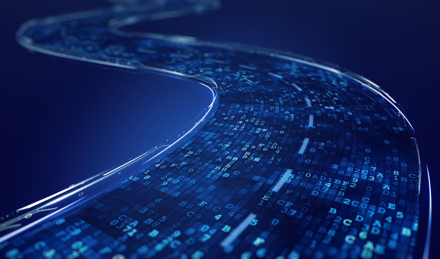 MarketVision - Il settore italiano del software