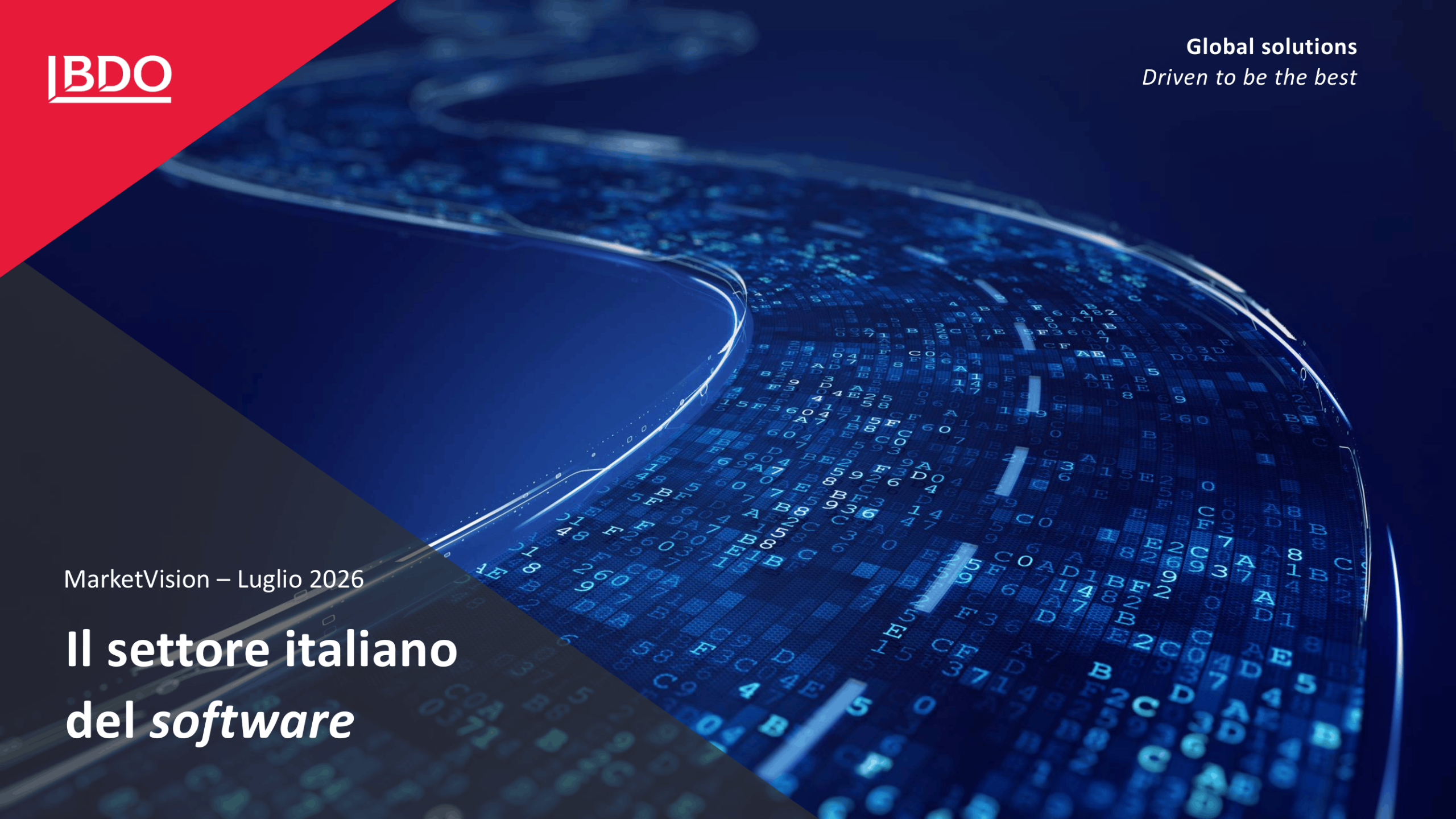 Il settore italiano del software