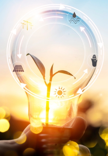 Net-Zero