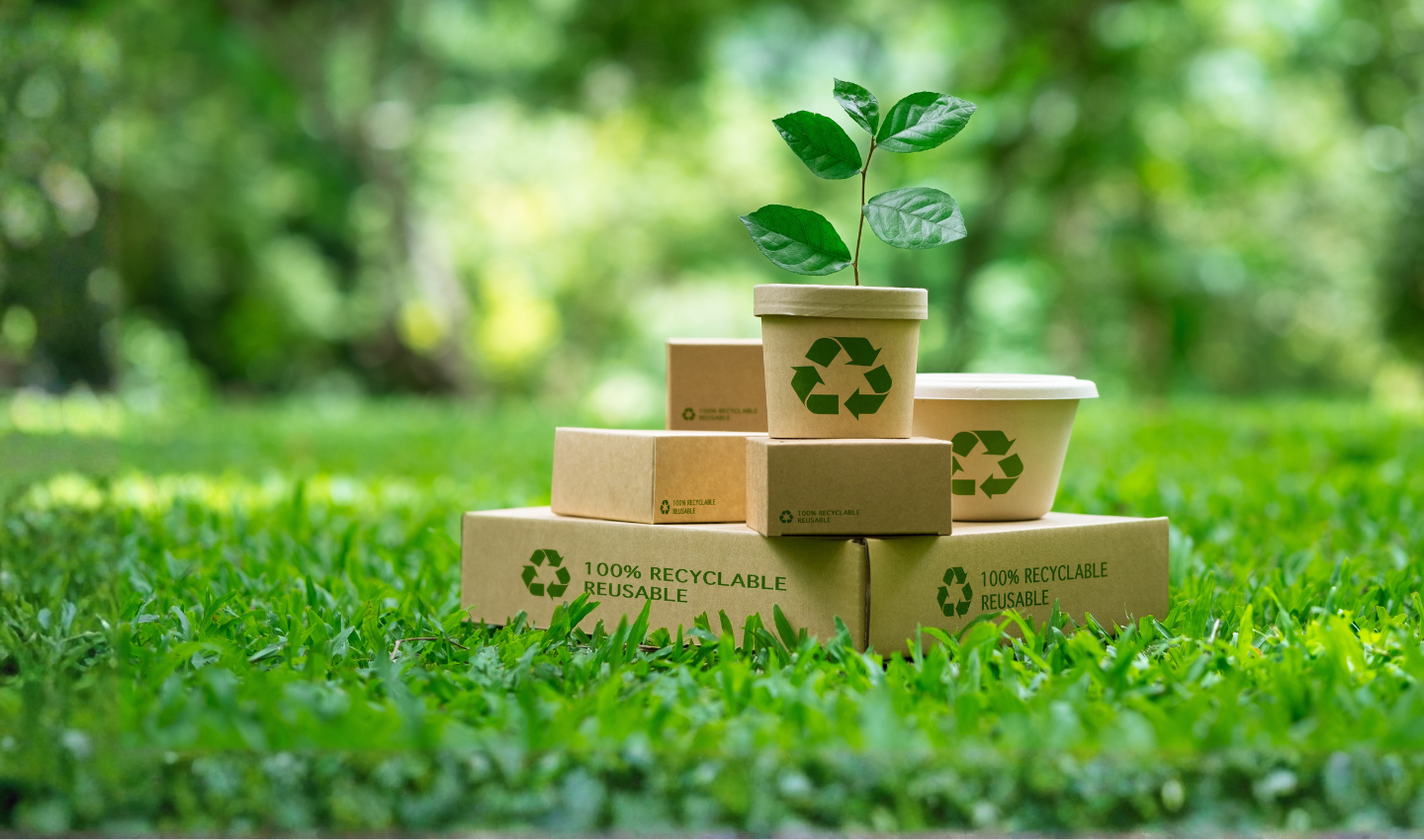 Il regolamento ESPR e il futuro dell'ecodesign