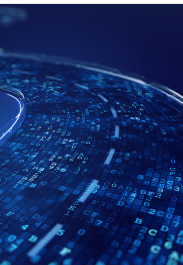 MarketVision - Settore italiano del software