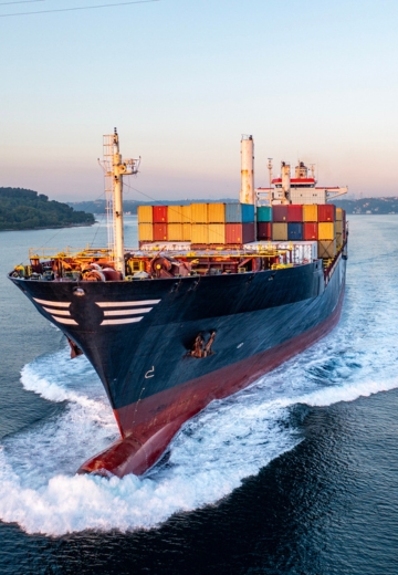 Customs & Excise Duties News - maggio 2026