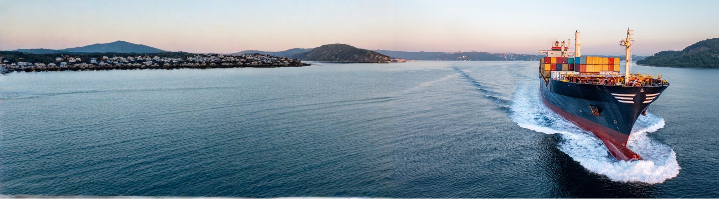 Customs & Excise Duties News - maggio 2026