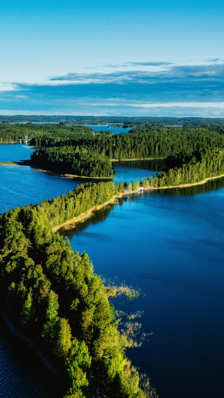 Water Credits Bulletin ottobre 2026