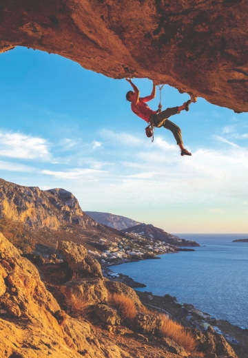 Integrated Annual Report 2025