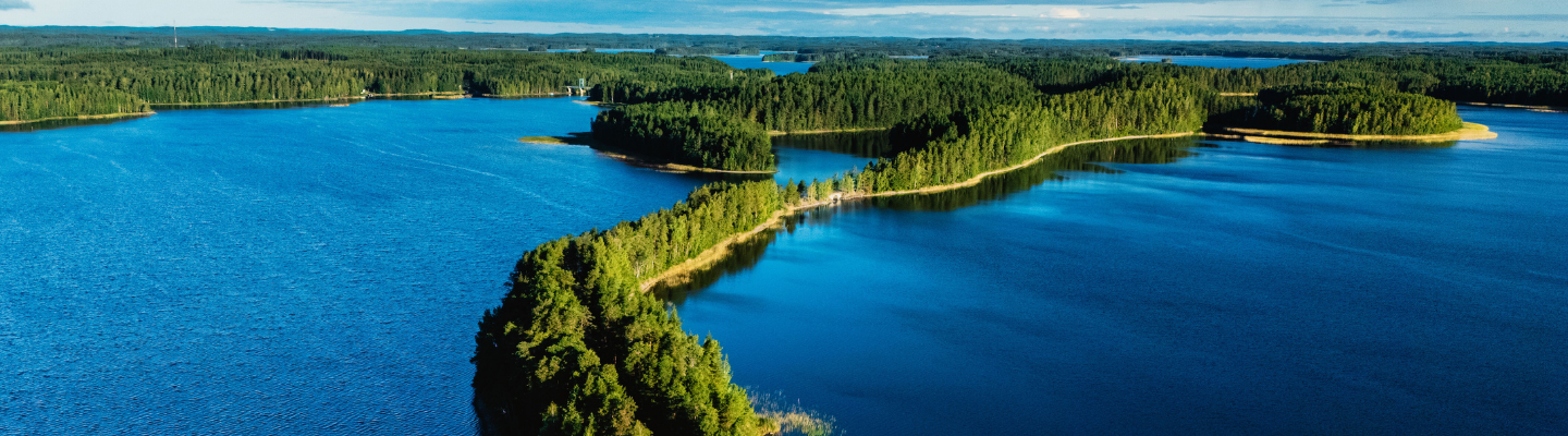 Water Credits Bulletin ottobre 2026