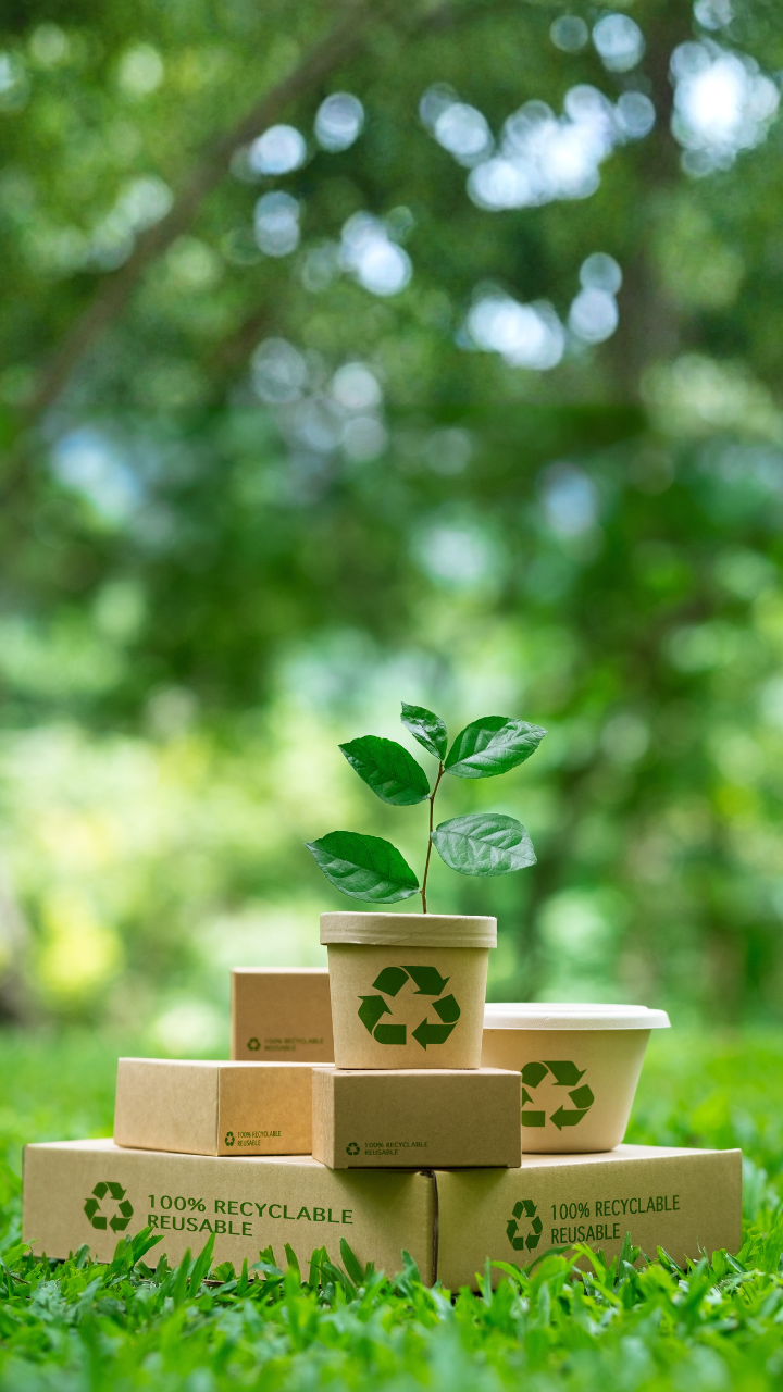 Il regolamento ESPR e il futuro dell'ecodesign