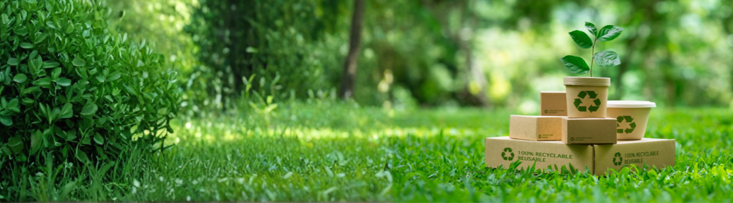 Il regolamento ESPR e il futuro dell'ecodesign