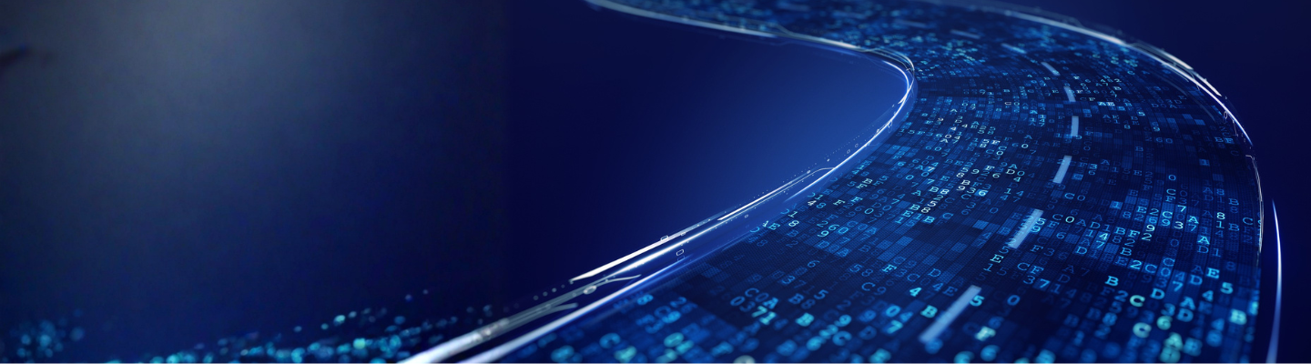 MarketVision - Il settore italiano del software