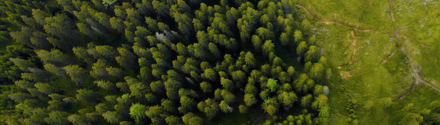 ISO 14001:2026